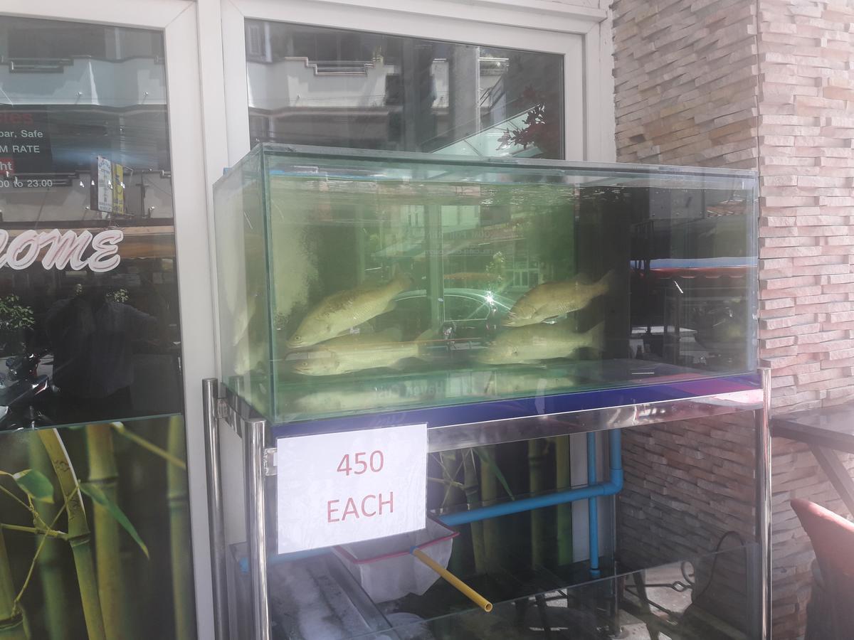The Haven Hotel & Restaurant Pattaya Bagian luar foto